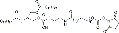 DLPE-PEG-SC (1,2-dilauroylphosphatidylethanolamine-polyethylene glycol-active ester)—focus on PEG derivatives