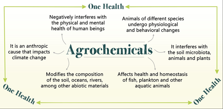 Main Agrochemicals: Types, Uses, and Impacts