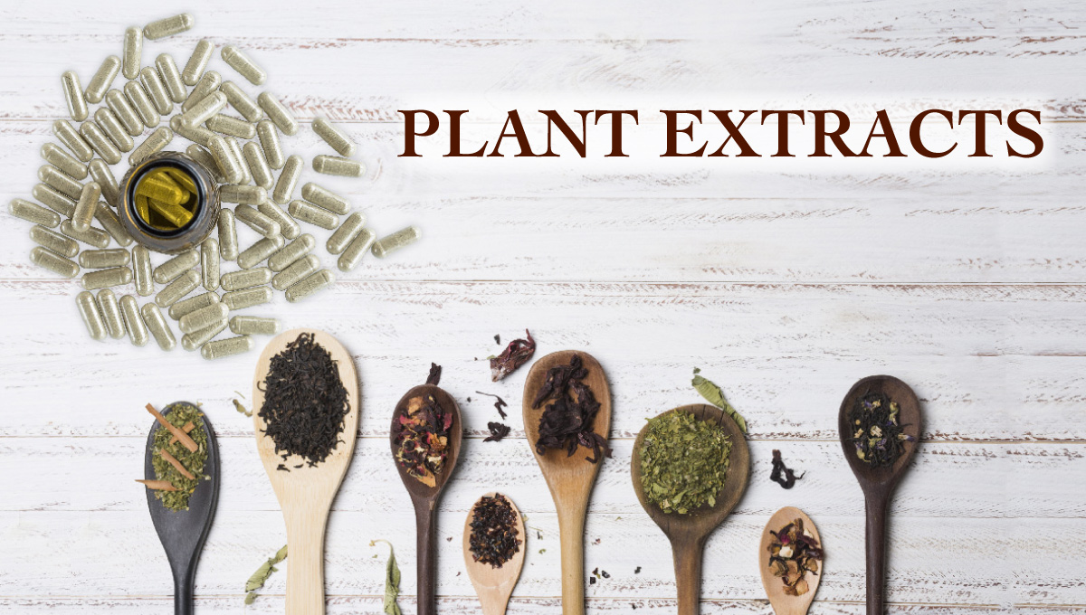 Plant Extracts: Nature's Powerhouse for Health and Wellness